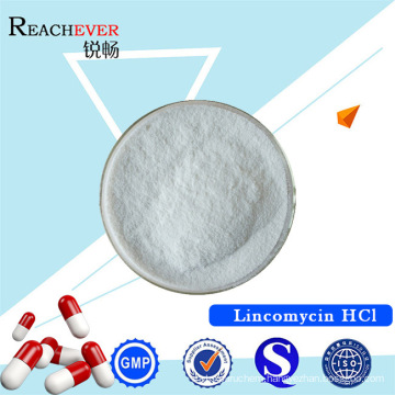 Lincomycin